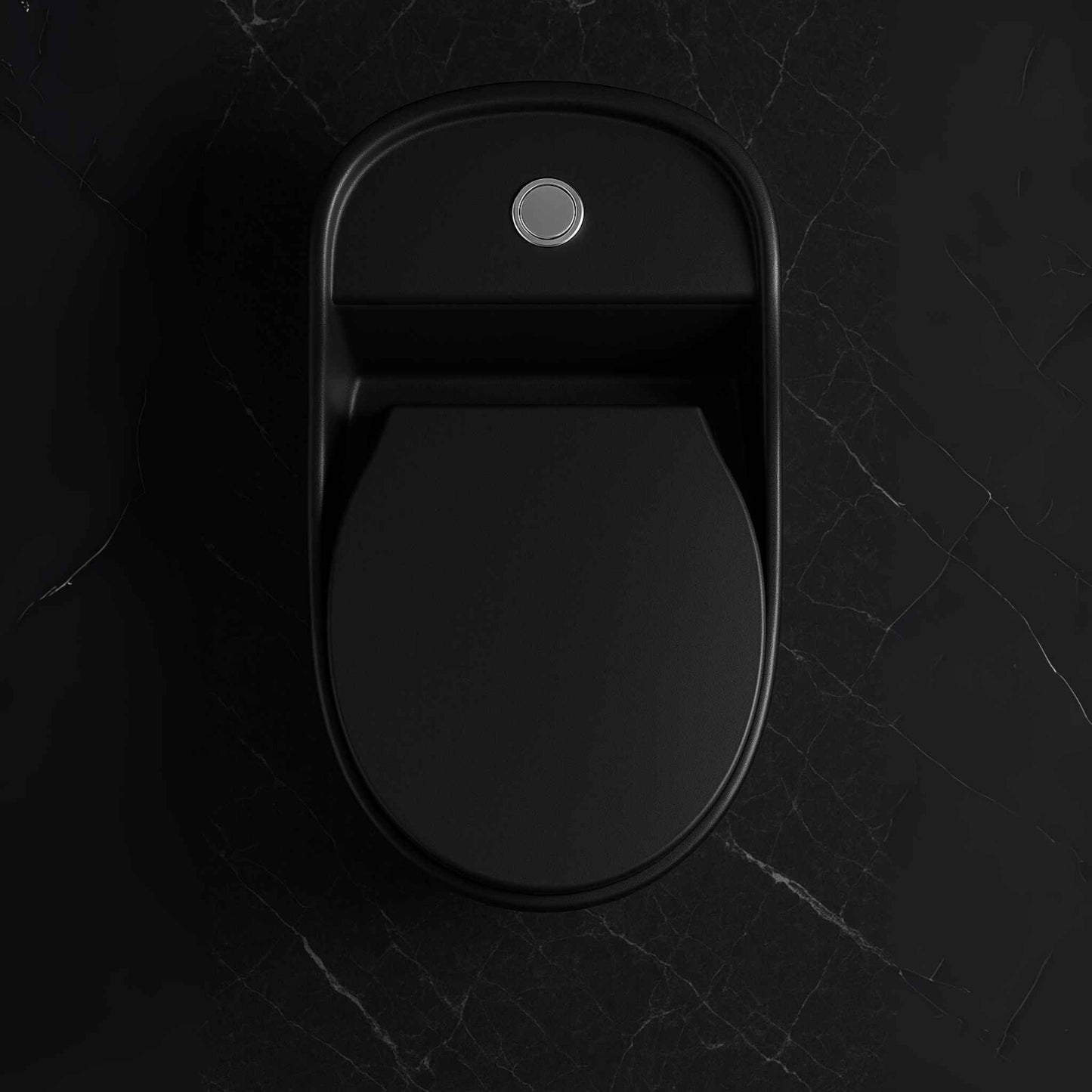 Top view of black integrated toilet with chrome flush button