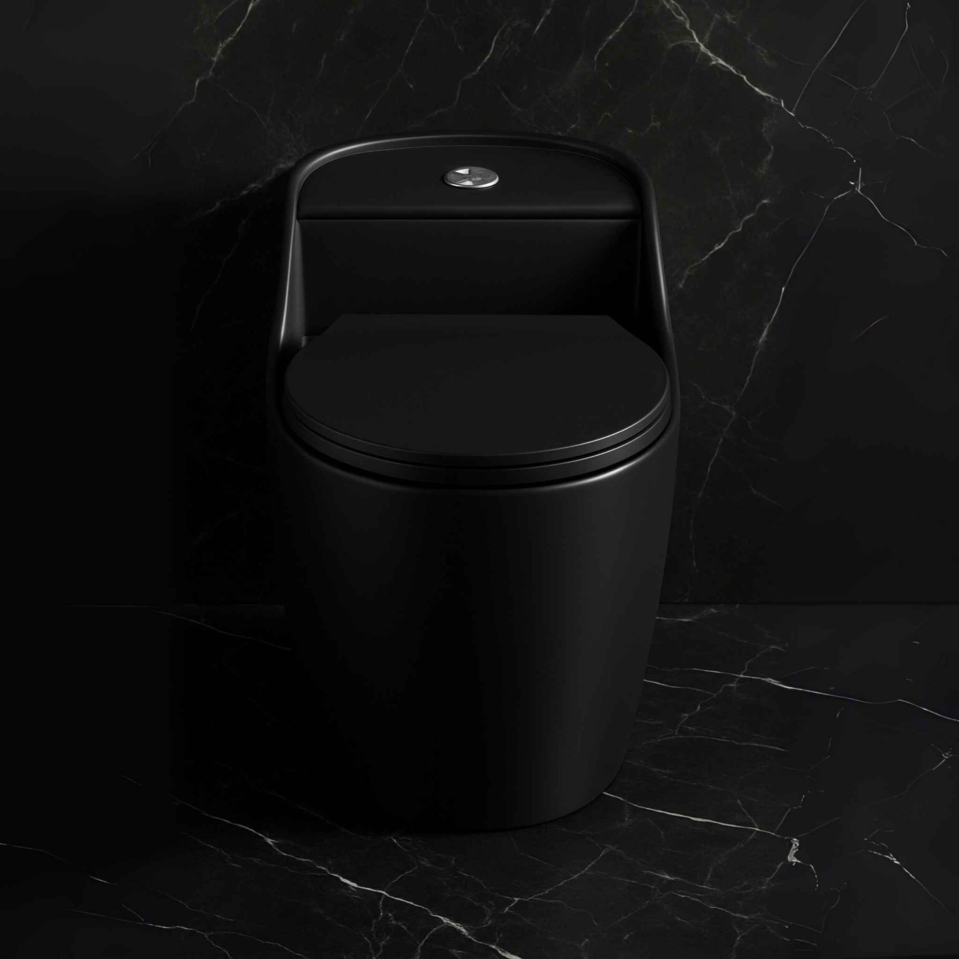 Front angle view of matte black one-piece toilet with dual flush