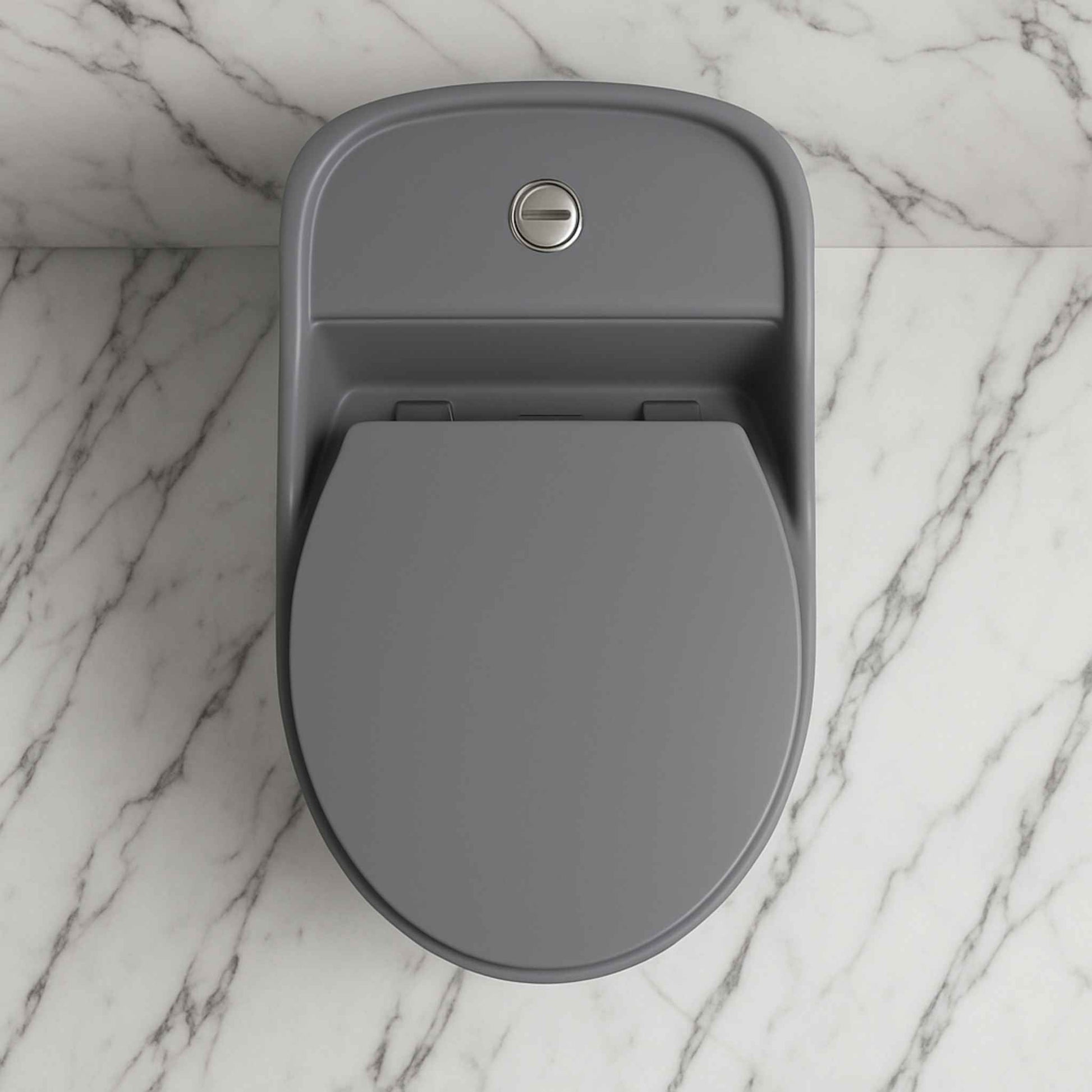 Top angle of rimless modern toilet with dual flush system